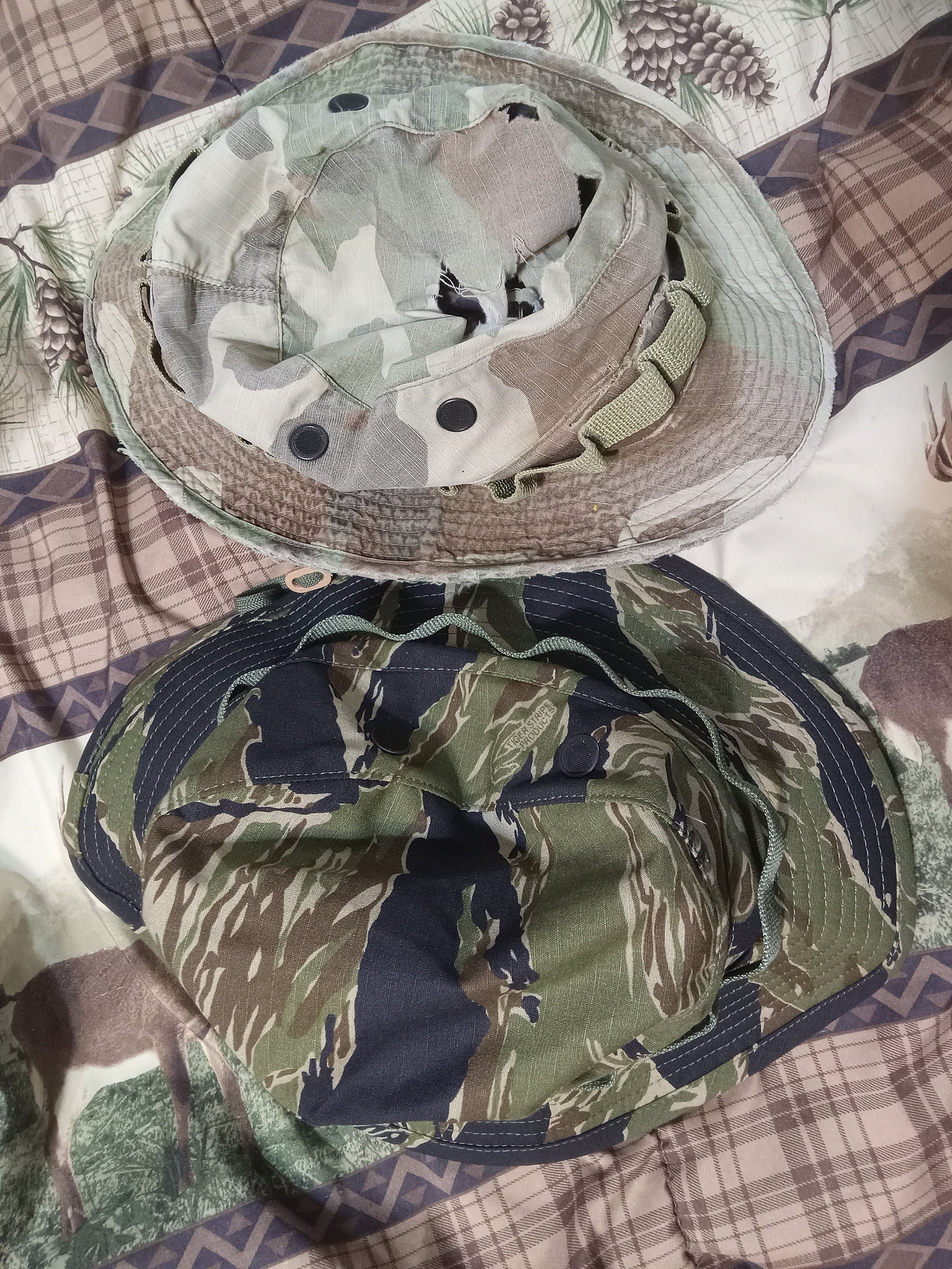 20250825_005207.jpg