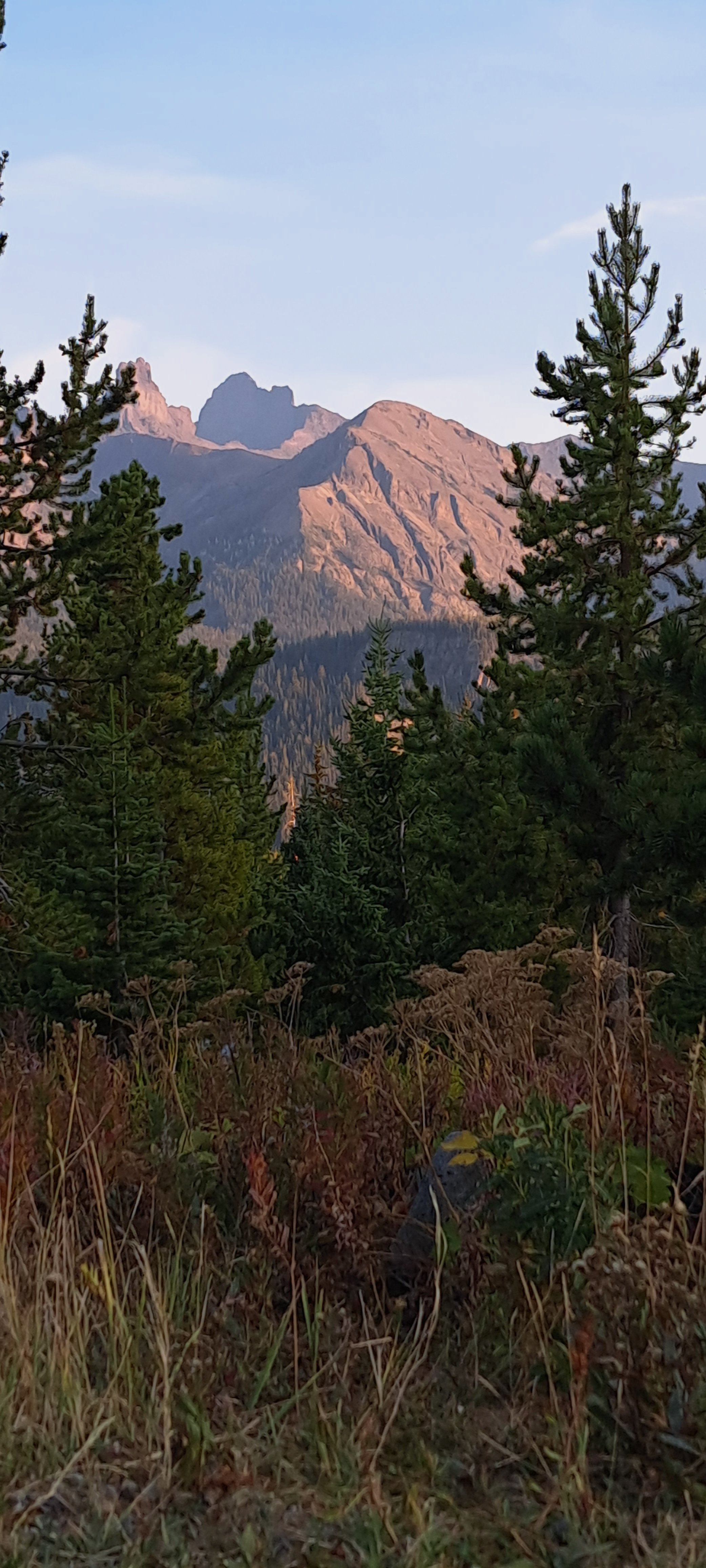 20250903_190956.jpg