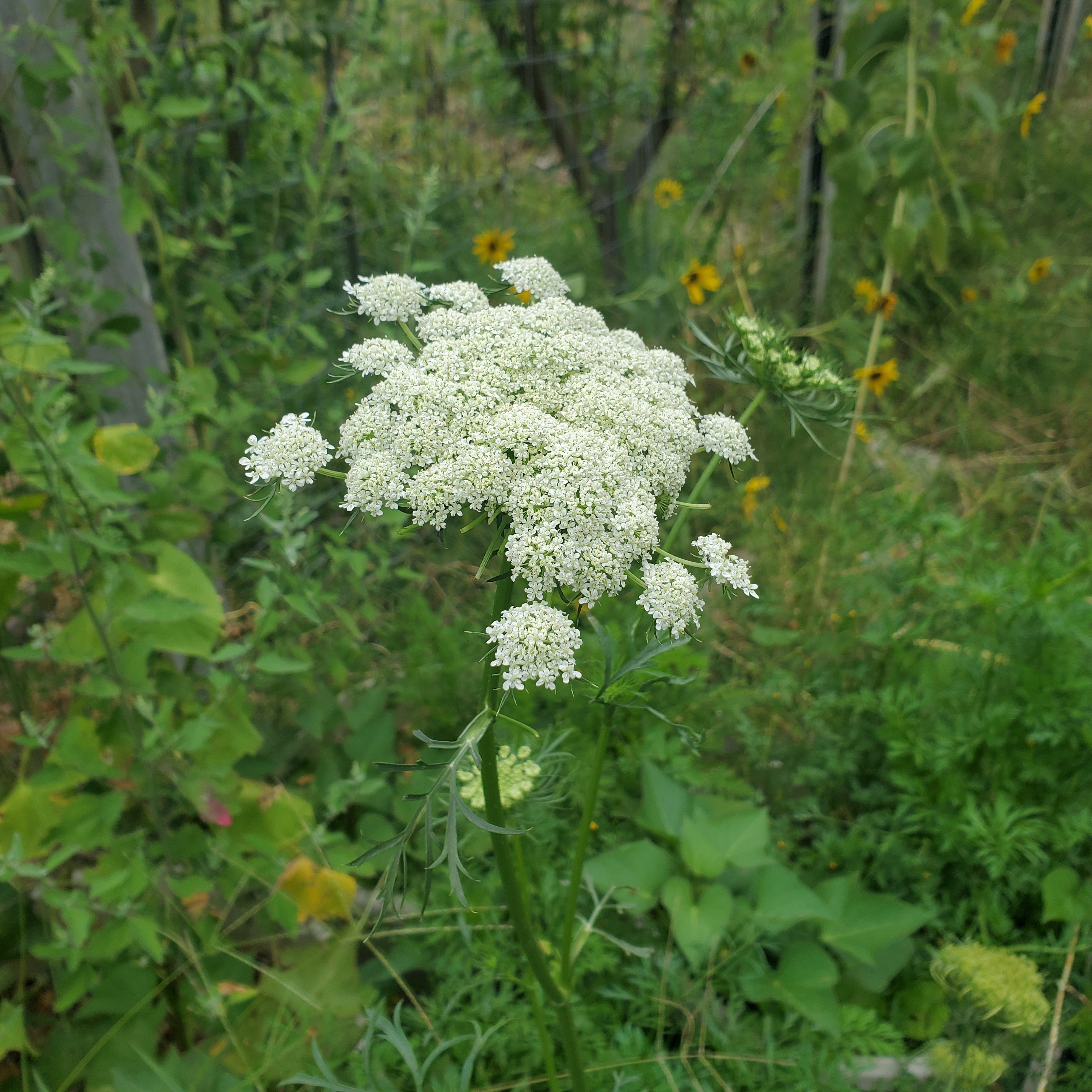 20250913_091129.jpg