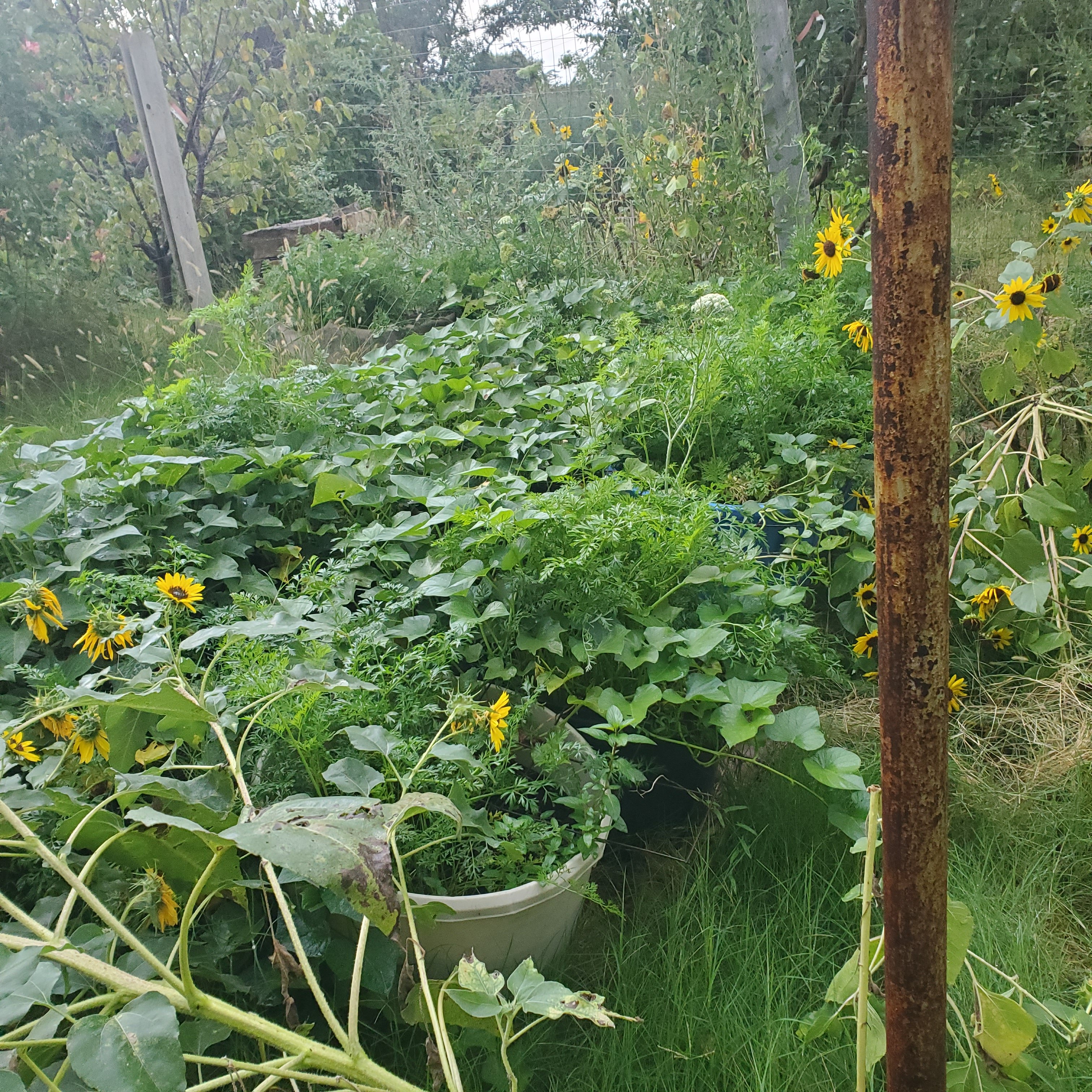 20250920_082142.jpg