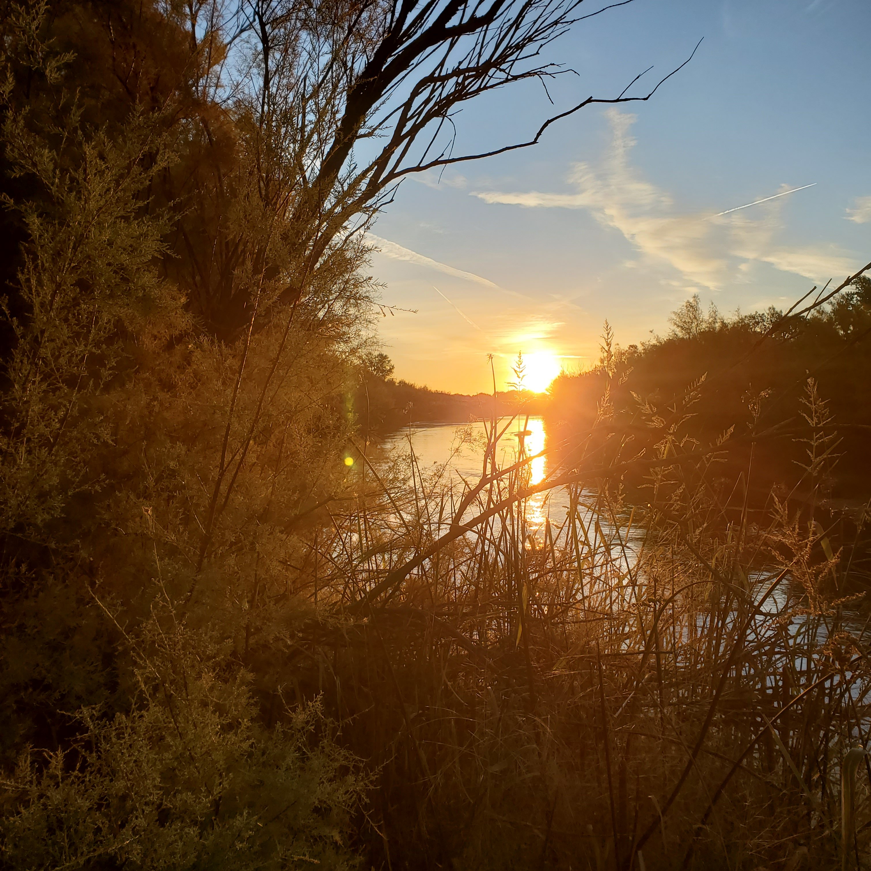 20250927_065136.jpg