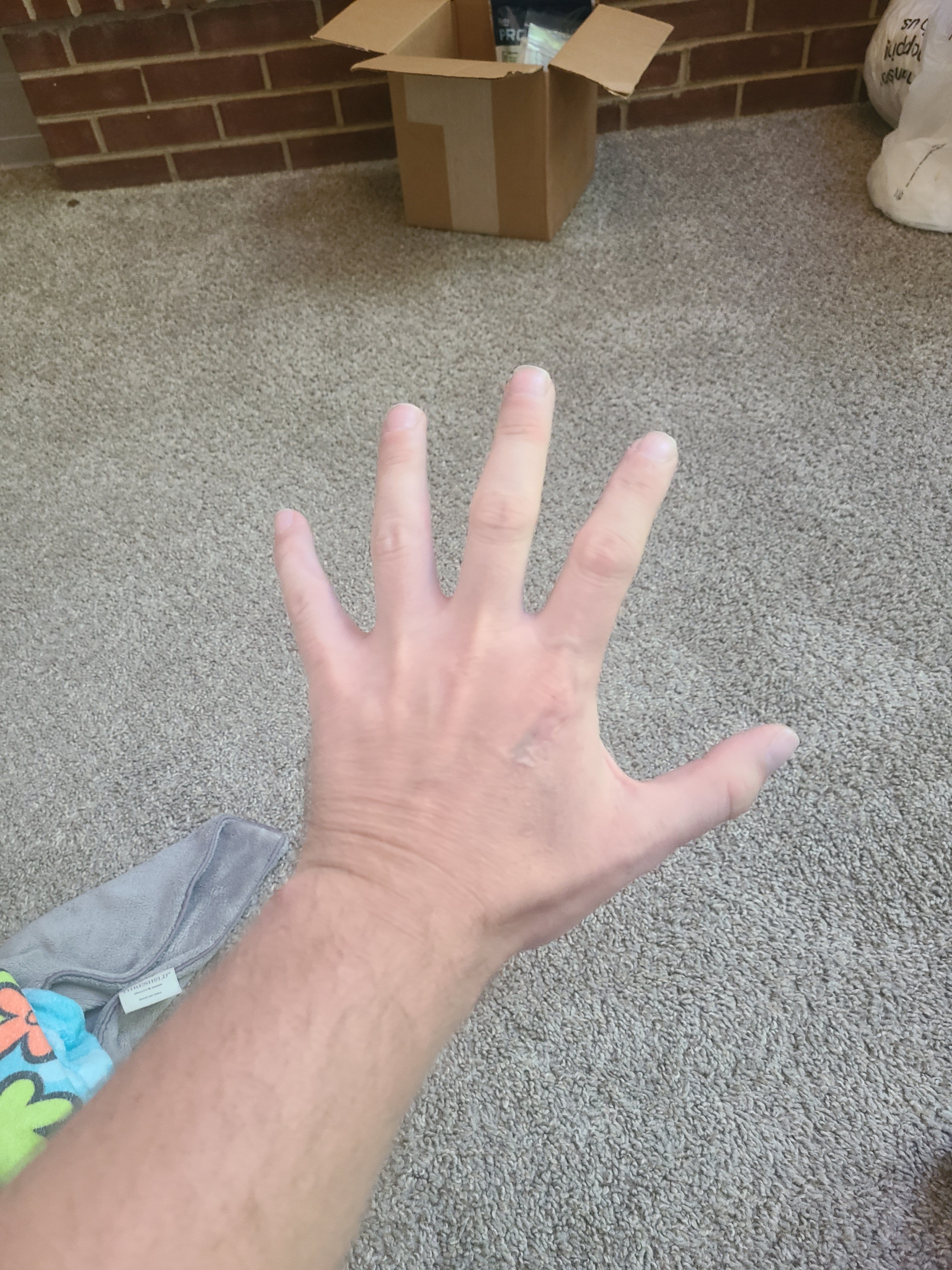 20251005_093752.jpg