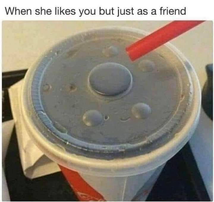 204_jpg-1574955.jpeg