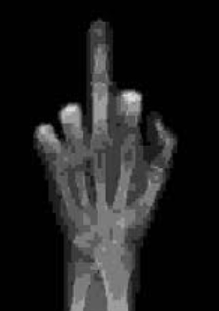 20986CA8-33A9-4BB6-869D-CF4BBE3F0A5F.jpeg