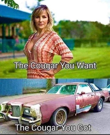 20C71575-07C0-4FD3-81CF-A15D1E29A0C1.jpeg