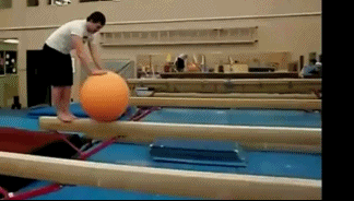 21-wg1hgvn.gif