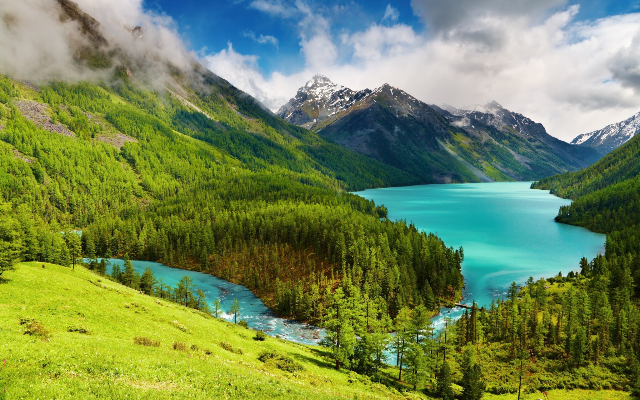 215171-forest-mountain-trees-water-lake-landscape-nature.jpeg