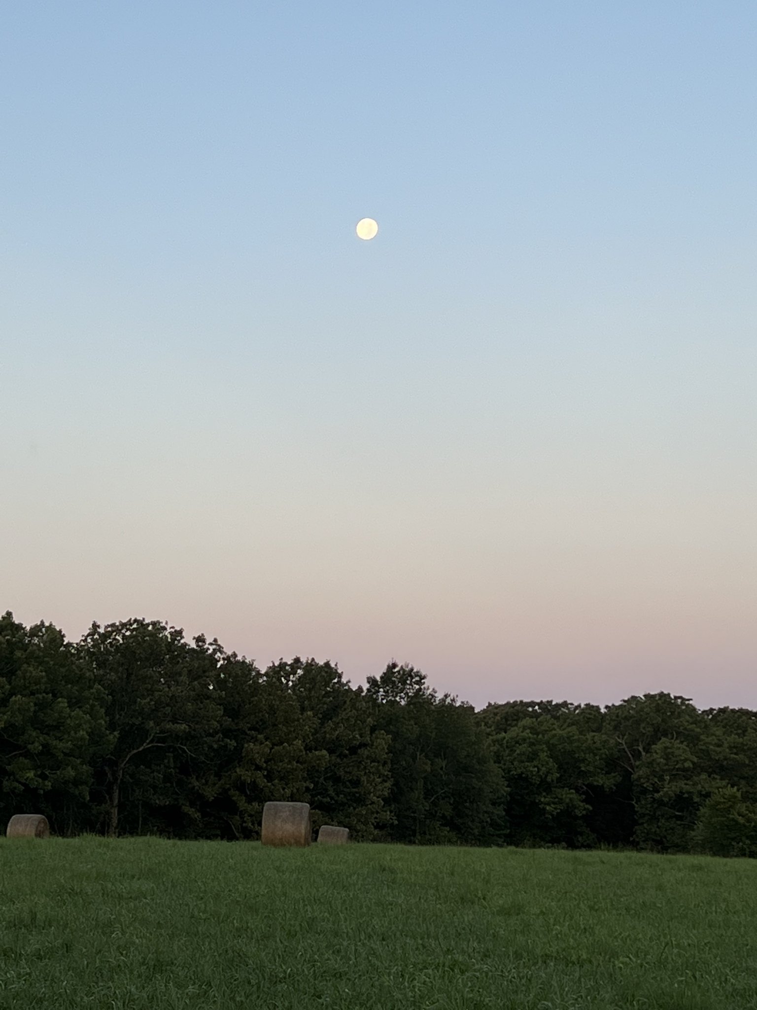 215DCF9E-6FD9-4AC9-AE2E-32E31521A07D.jpeg
