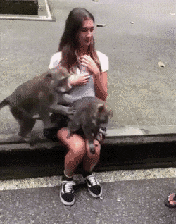 216D63FD-AD24-4384-940A-569AAD8A73C1.gif