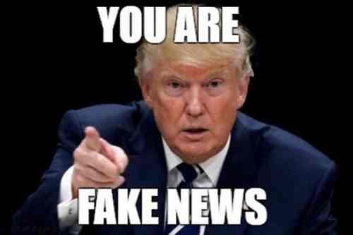 21806-you-are-fake-news.jpg