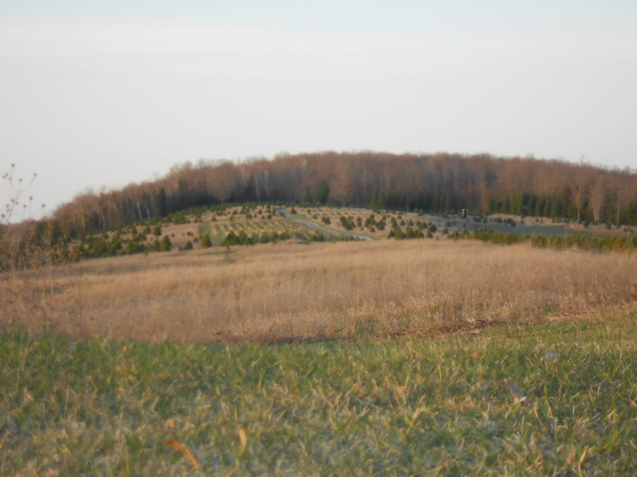 21E8EA0F-C278-4CFF-BC28-6522E6707DA5.jpeg
