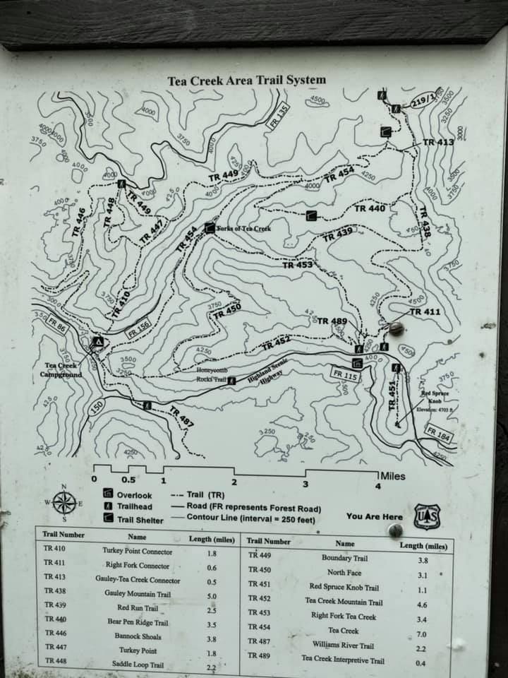 223201442_10166020676575427_693740365701518220_n.jpeg