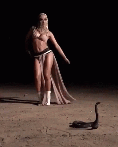 22391D5E-CA67-4F91-B85B-7D232B1B19D3.gif