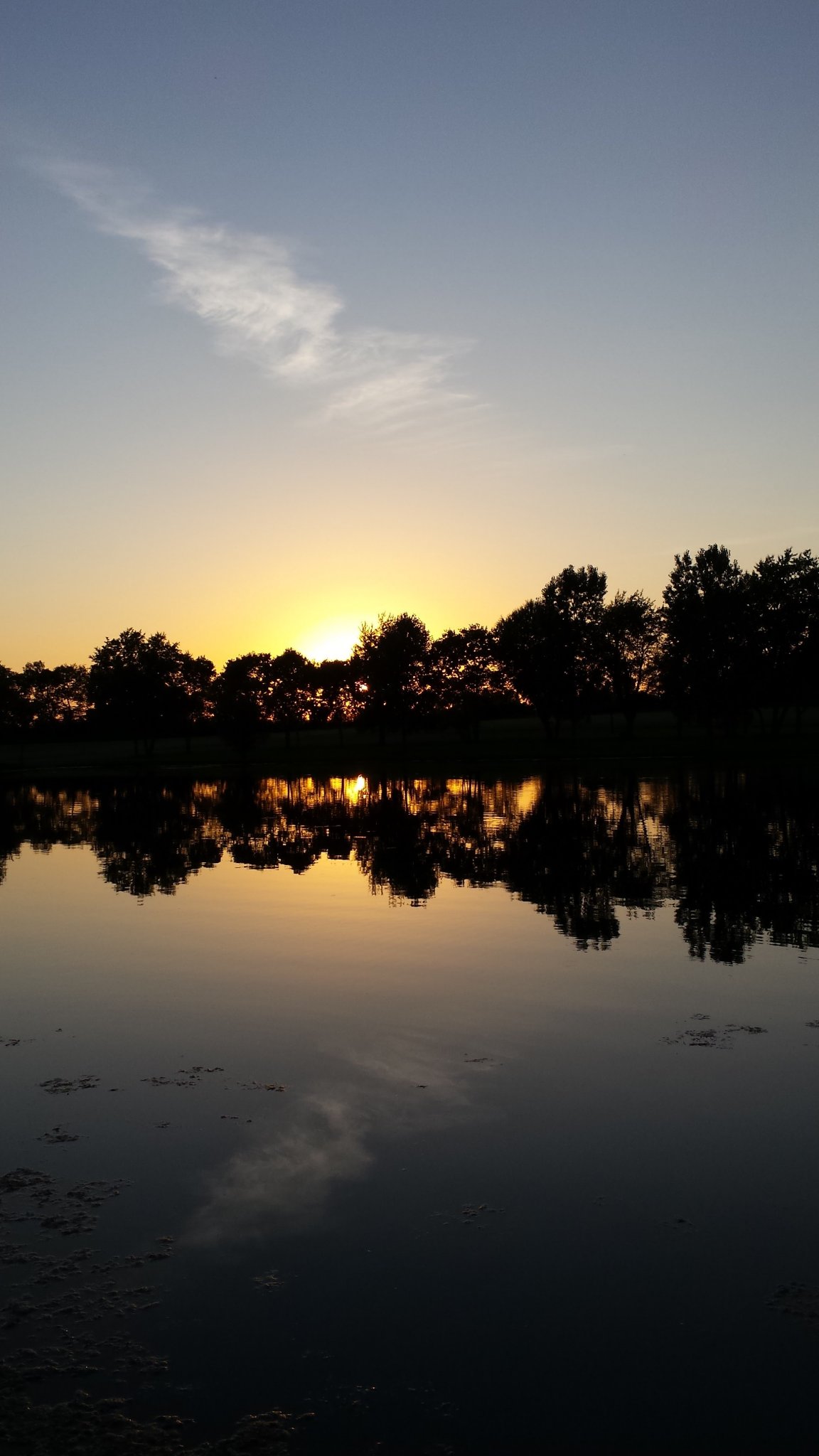 2272CAD0-CF04-4620-9C2B-A5FDDE08A4ED.jpeg