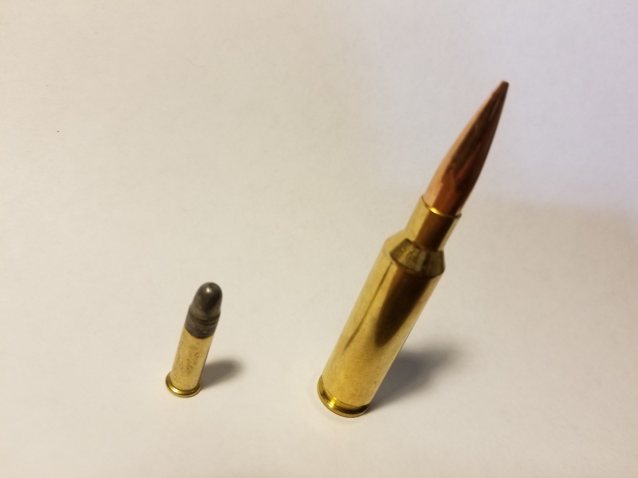 .22lr vs 6.5.jpg