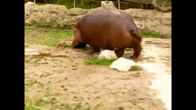 236859F8-98F4-440A-8D84-2B89F0BB7C2E.gif