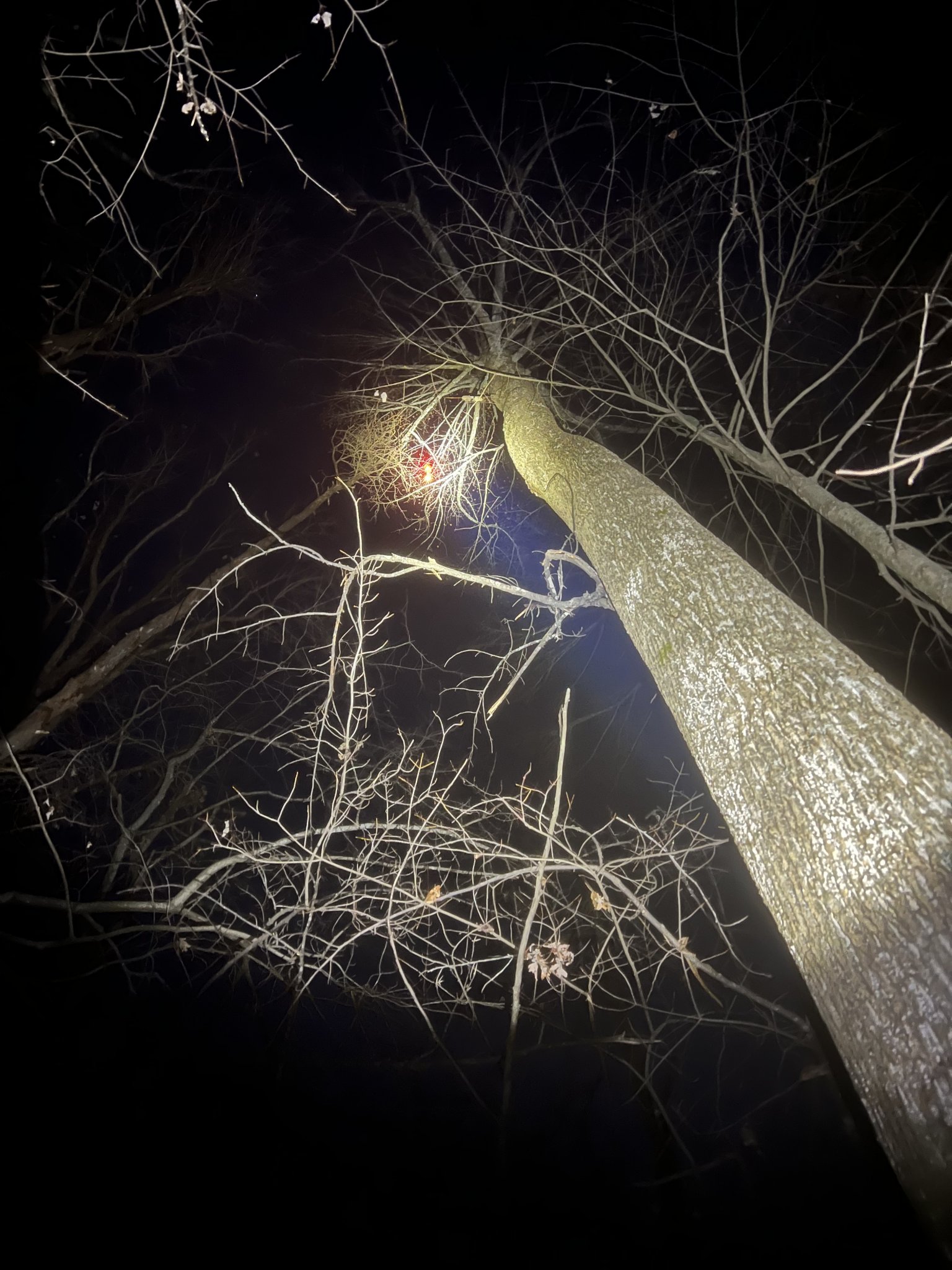 238716AA-8304-4D20-A397-B2EB9DDF7848.jpeg