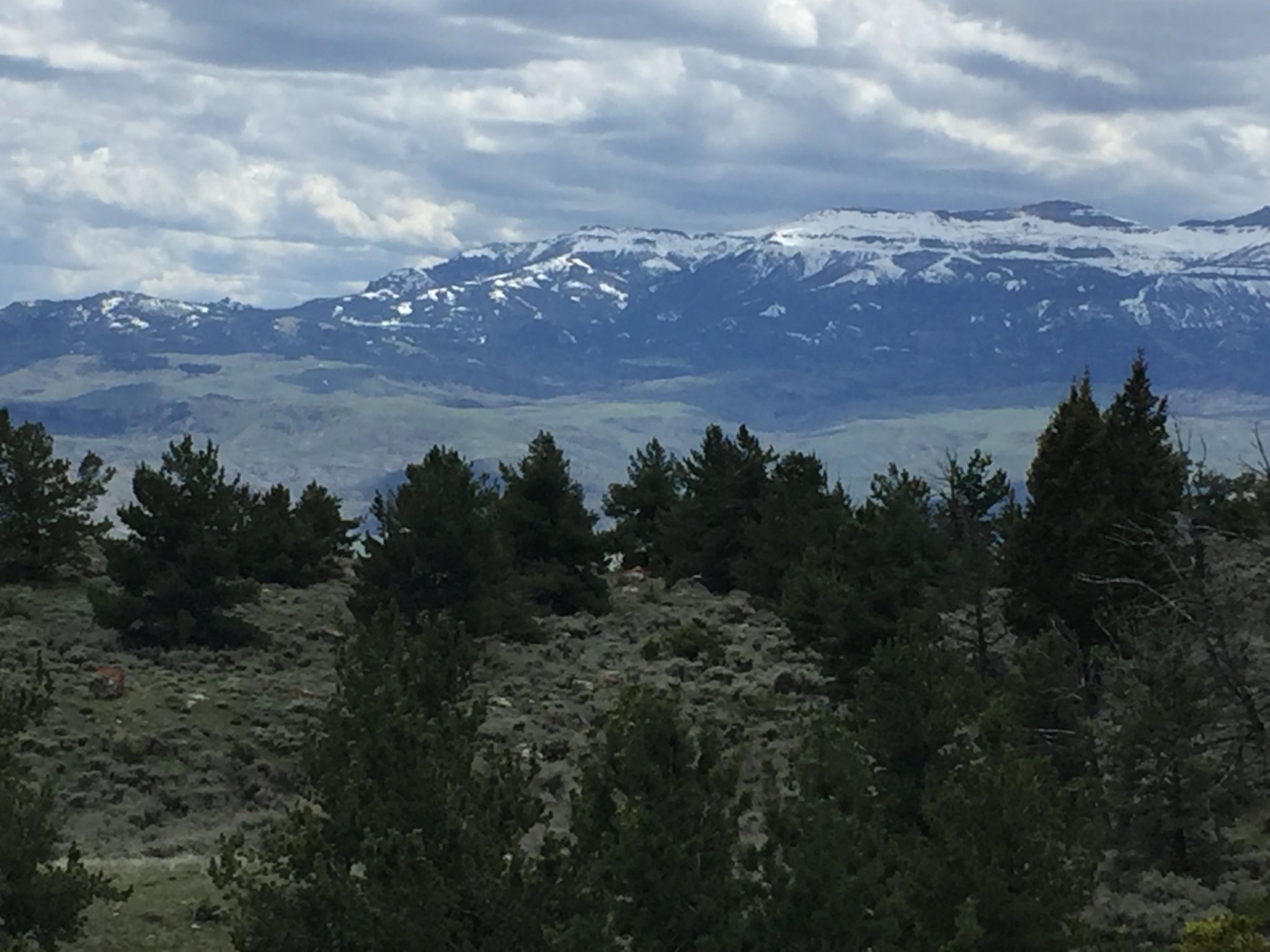 23AB8E96-C75B-4C63-B15E-FA18339BE3EC.jpeg