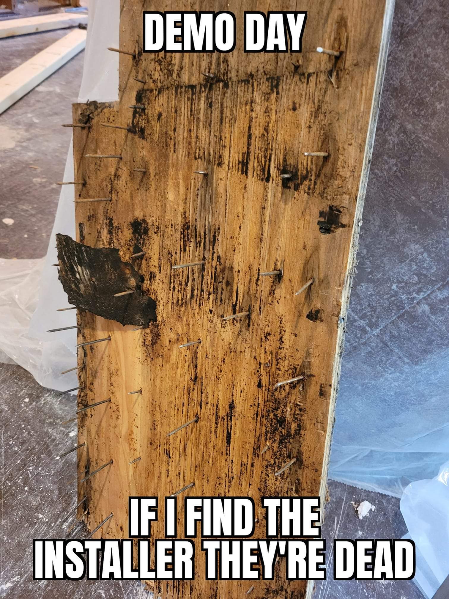 242104136_4434659129955488_7893729492449520900_n.jpg
