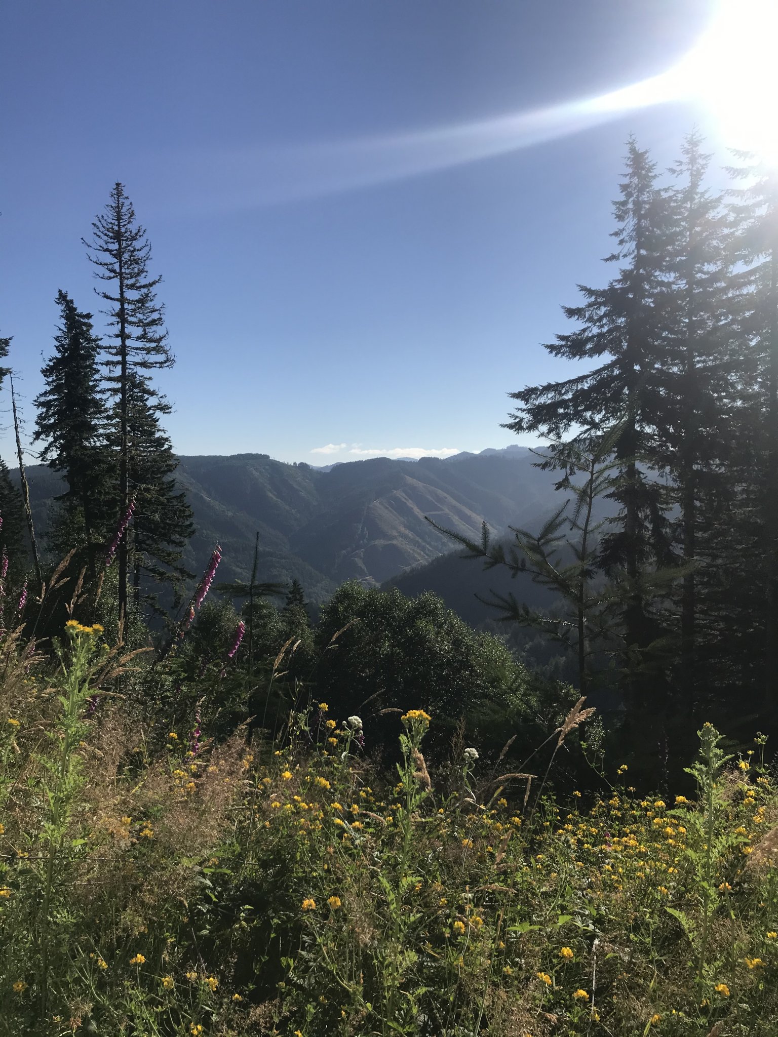 24337B78-93DA-4EA7-B06D-4D3CA265F73C.jpeg