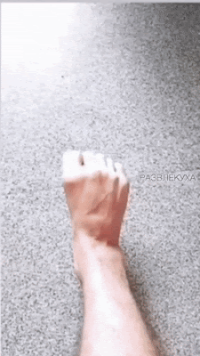 244EA893-4403-4D3C-9B31-78D37F39A2A4.gif