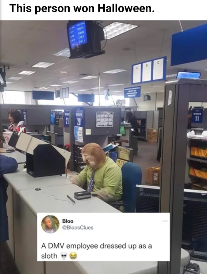 248366961.jpg