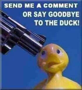 249252573_10227204263716467_8489019405792037559_n.jpg