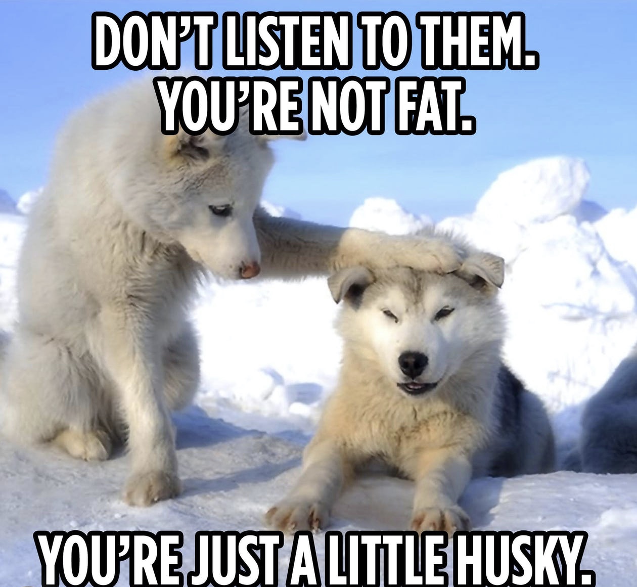 250D3BC5-8F7E-4786-A6C7-43263286A19A.jpeg