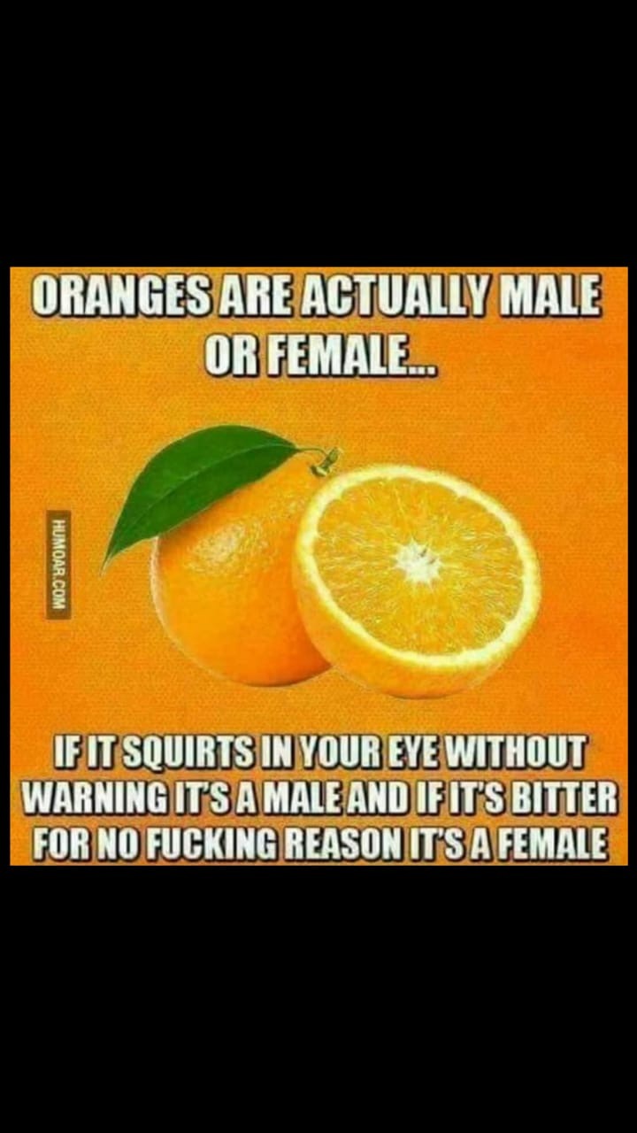 26B3C286-7267-4E64-8AC8-D346E8DE0676.jpeg