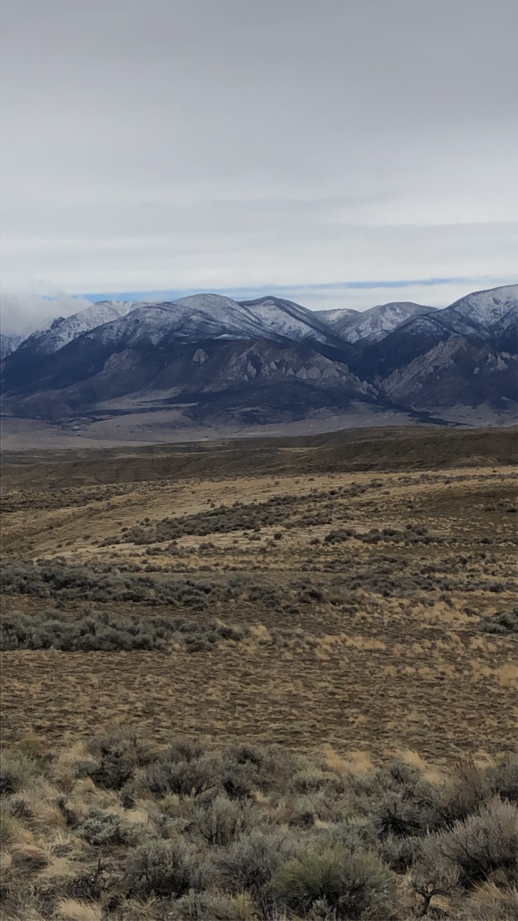 2709A0F4-24A0-4312-B17D-4677C64259D5.jpeg