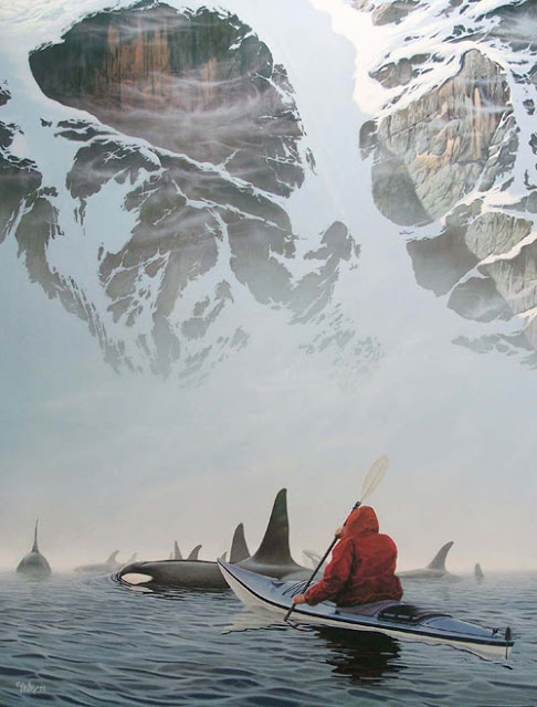 271-kayaking-with-killer-whales-14dbdf88-sz800x1052-animate.jpeg