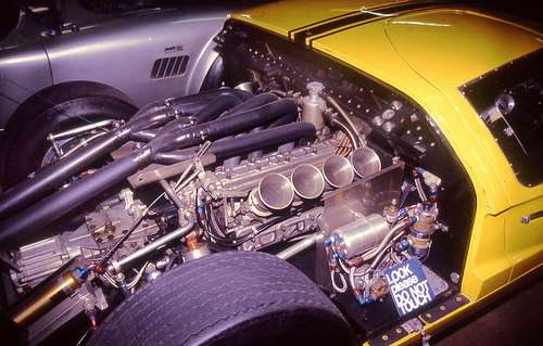 2713519721_29d158dbba-vi.jpg