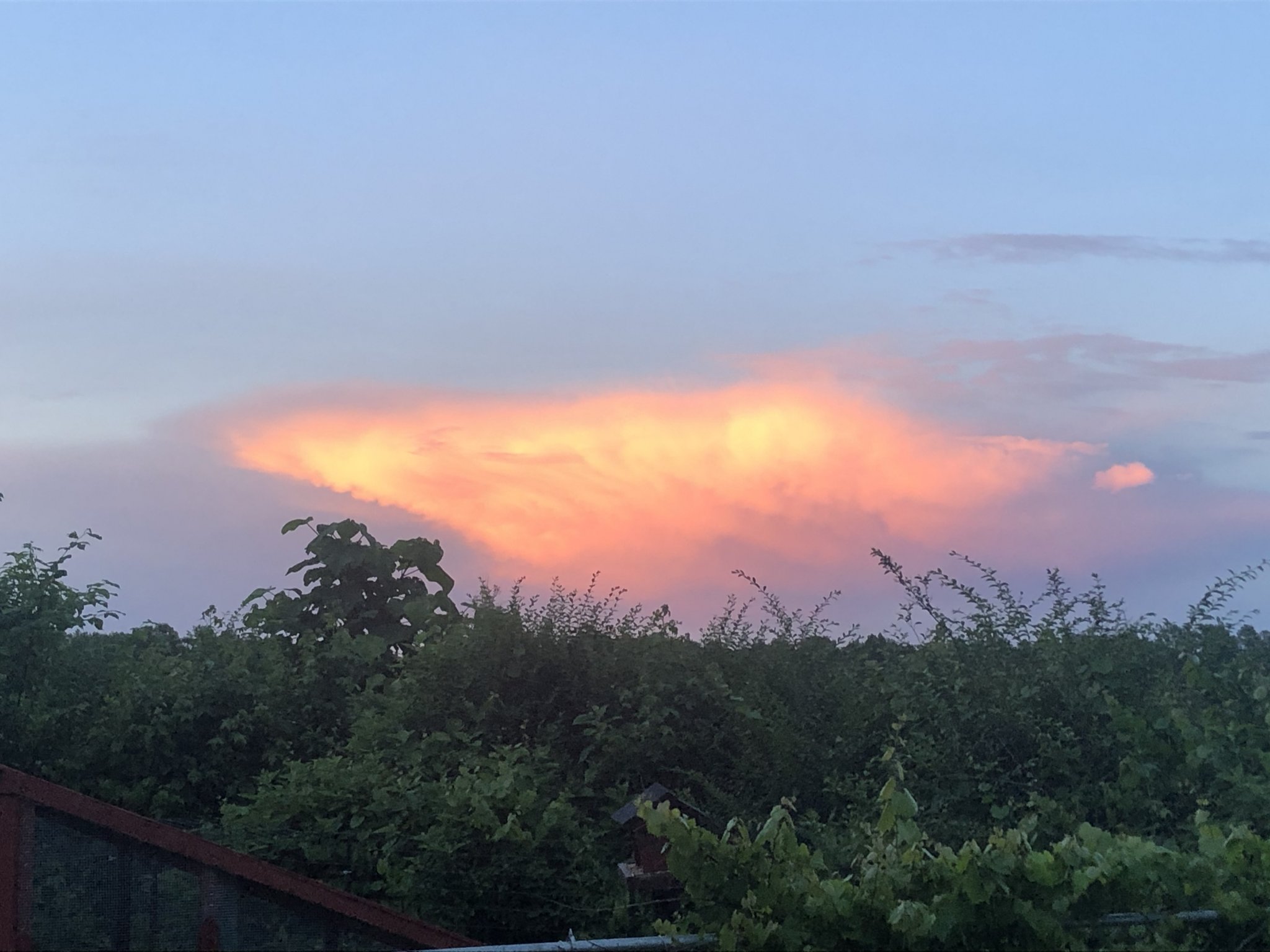 27664FF7-13CE-4EC9-B864-1AF34E4173F9.jpeg
