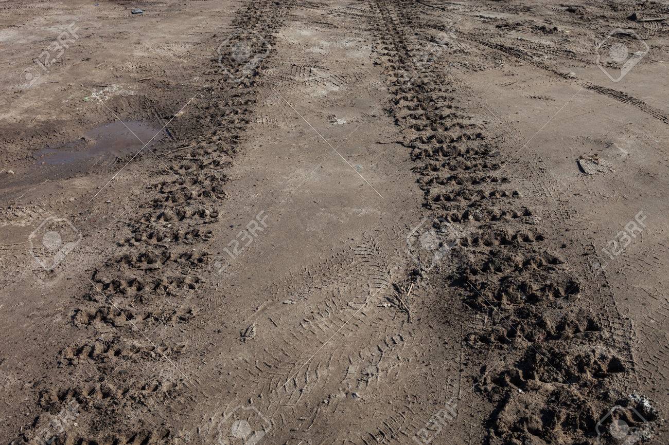 27986657-caterpillar-tracks-traces-on-the-ground.jpg