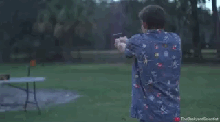 2845244-8.gif
