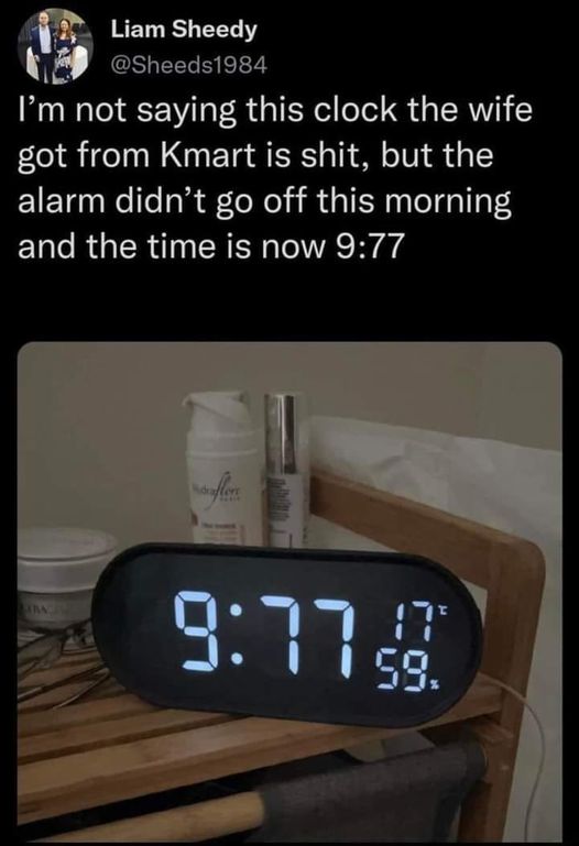 286272438_1448616362299005_2034933403936270434_n.jpg