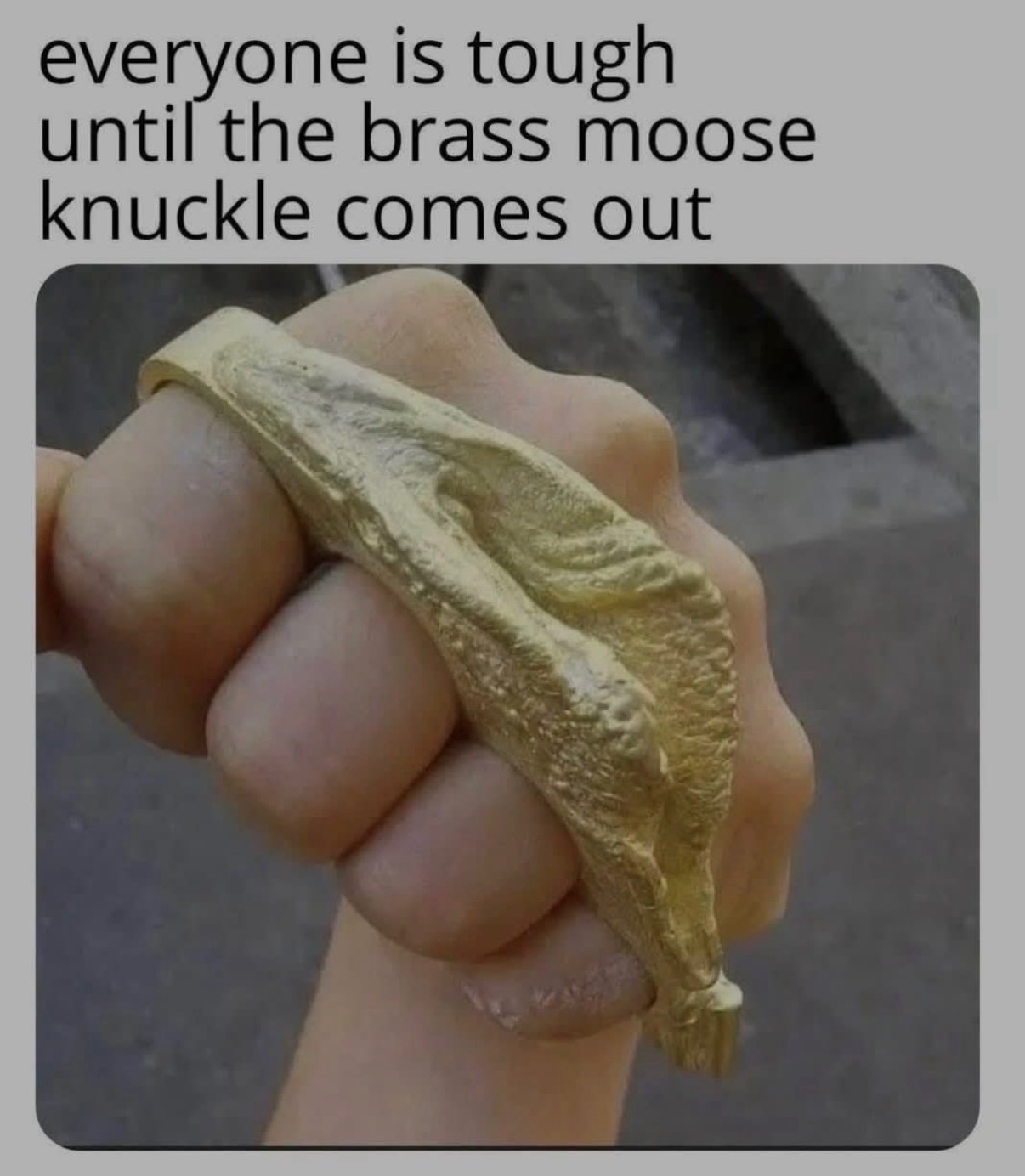 2872968989332163377.jpeg