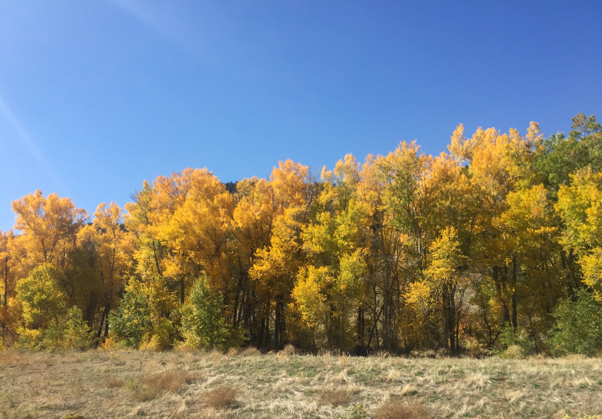 28EBEB44-C1BC-4B27-A0B9-4F9615BA7A9C.jpeg
