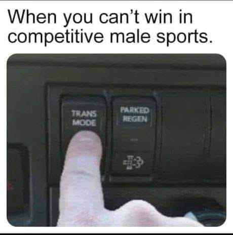293091968_1415506528943322_1435477614834805601_n.jpg
