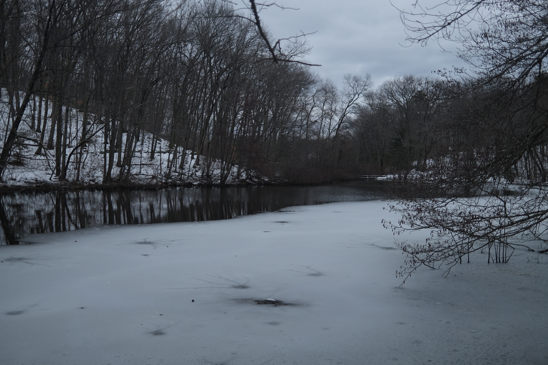 29A404B0-D735-439E-8449-9B8C45DCDF27.jpeg