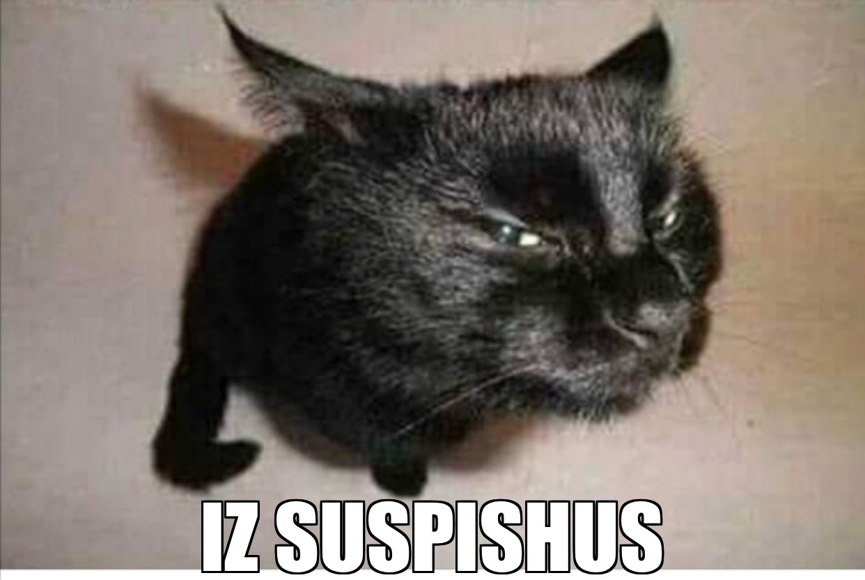 29AB2C87-DB4F-465A-9929-3AC51D4F3970.jpeg