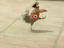 29BFA49B-F62B-417B-A6DE-F0F58773B810.gif