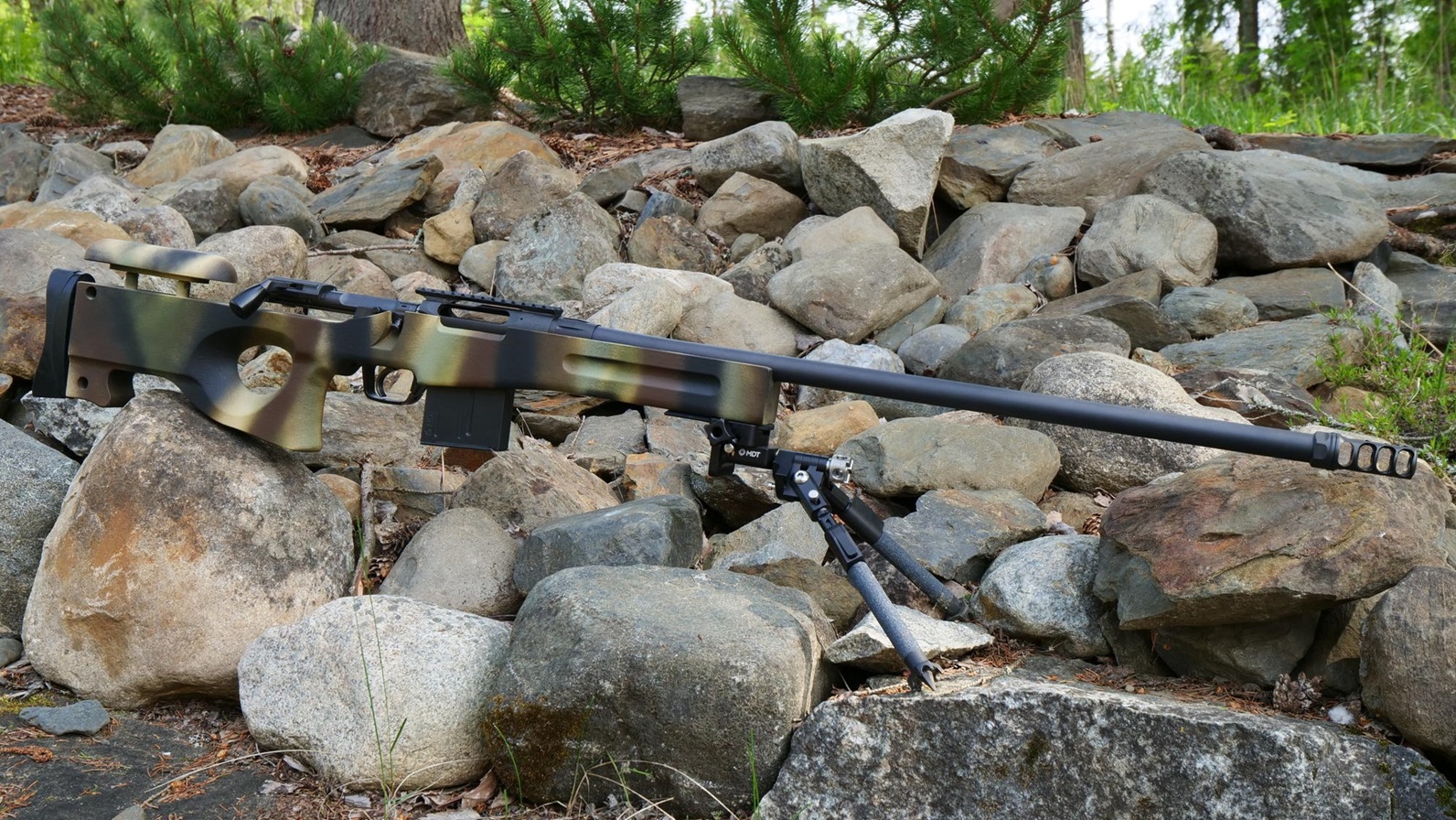 2_AI RS 2.jpg