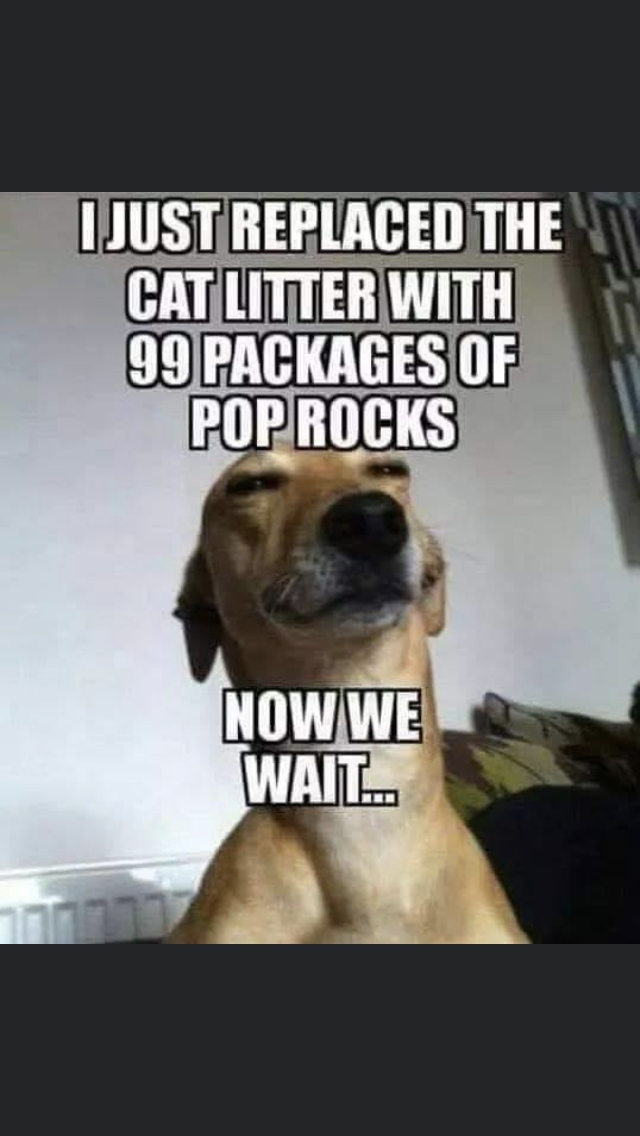 2A1D5F14-D4B1-486D-83FF-F8C53A6C3763.png