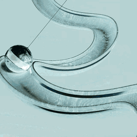 2B67364B-0CA5-4C9E-AC38-C153ED41D012.gif