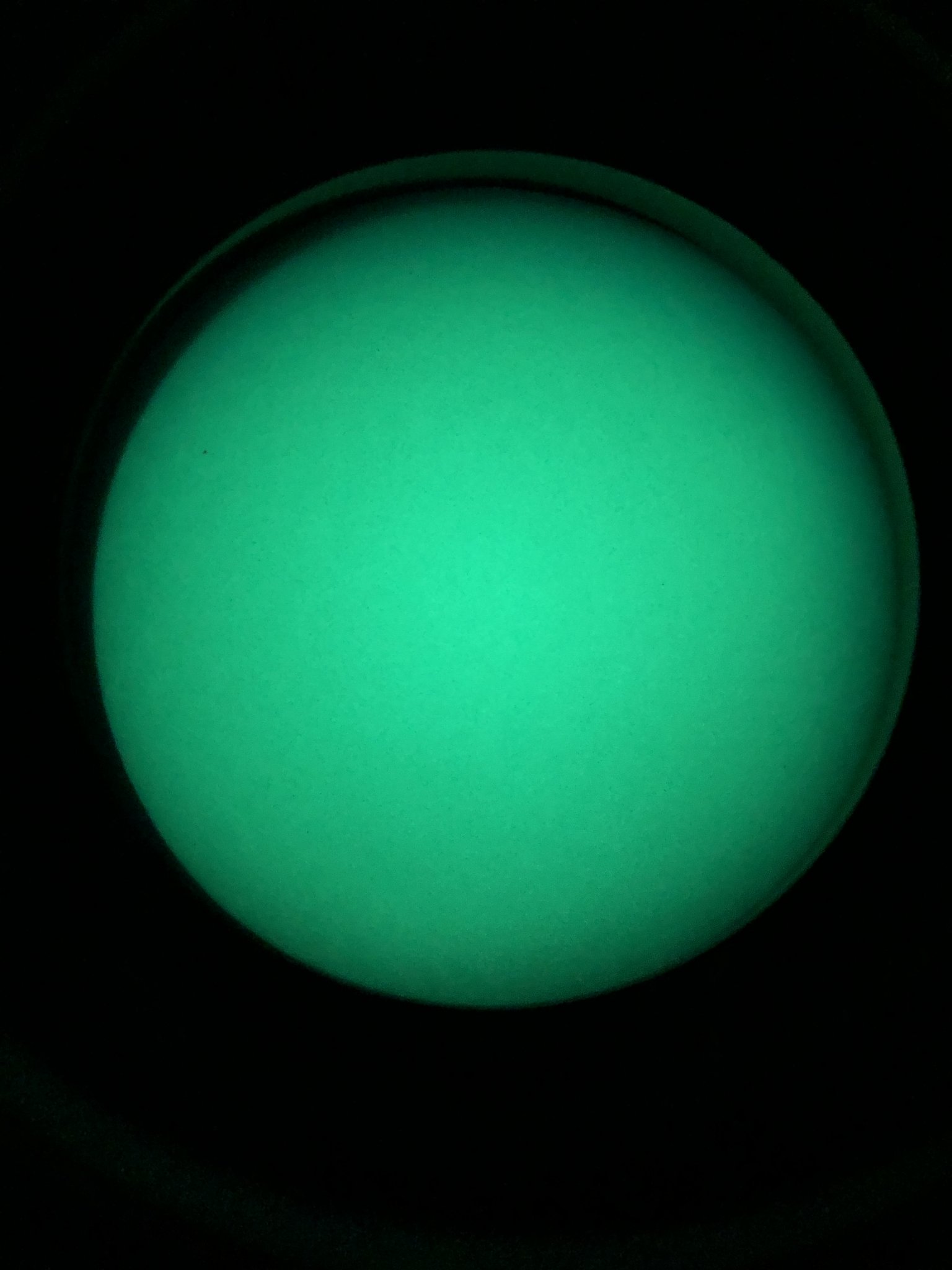 2BCAC06B-A5D1-459B-8344-32F3548F46CC.jpeg