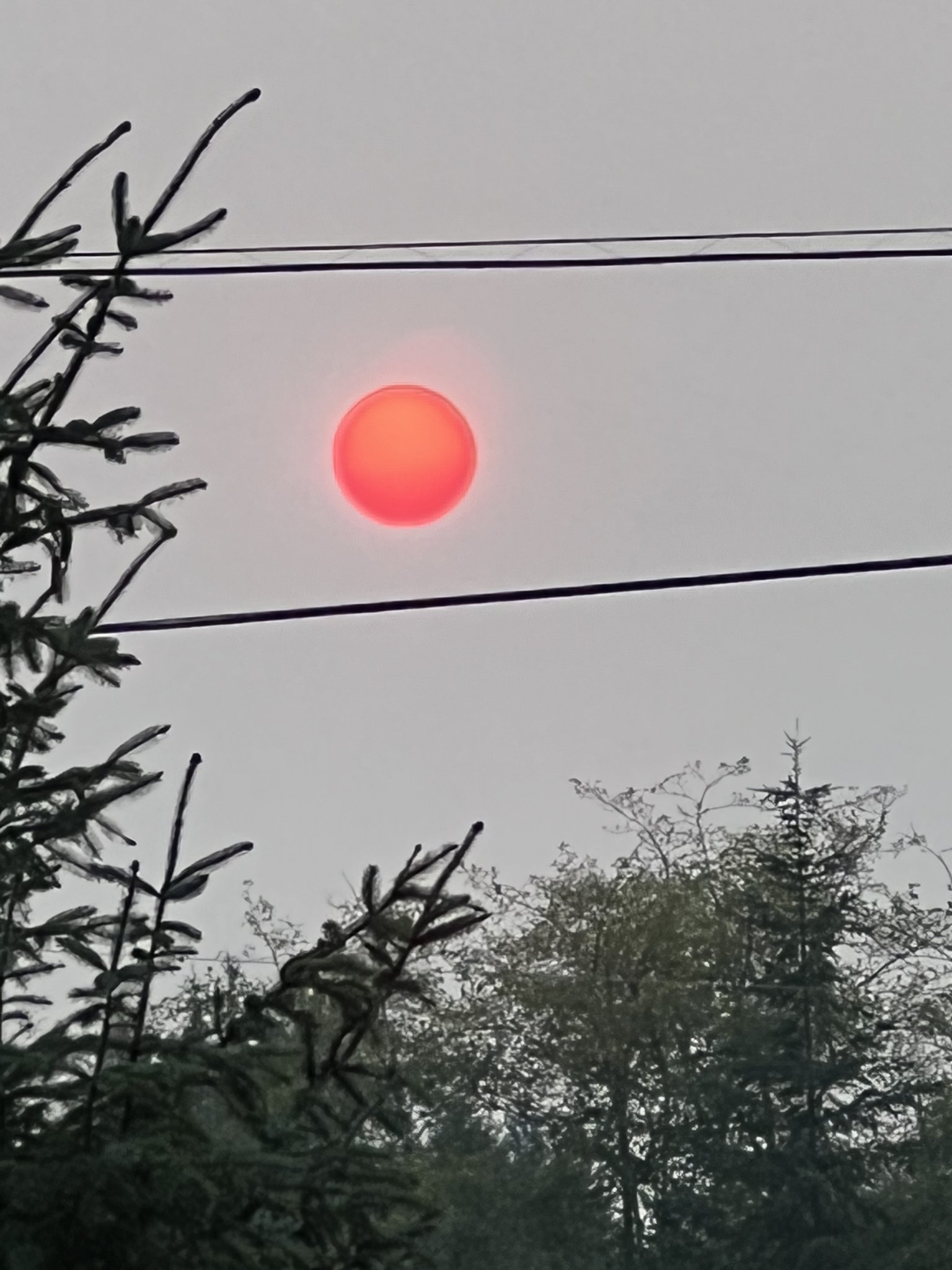 2BE7A2BC-BC62-406D-A208-1403F7E901BF.jpeg
