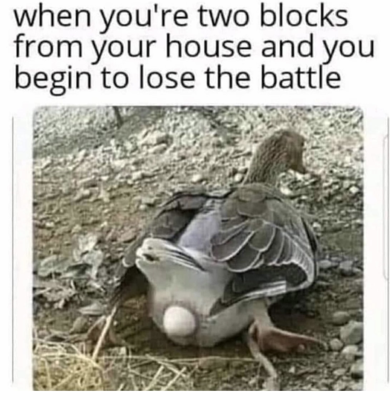 2C1AF70D-5F6D-4F26-8AB3-D85040F55256.jpeg