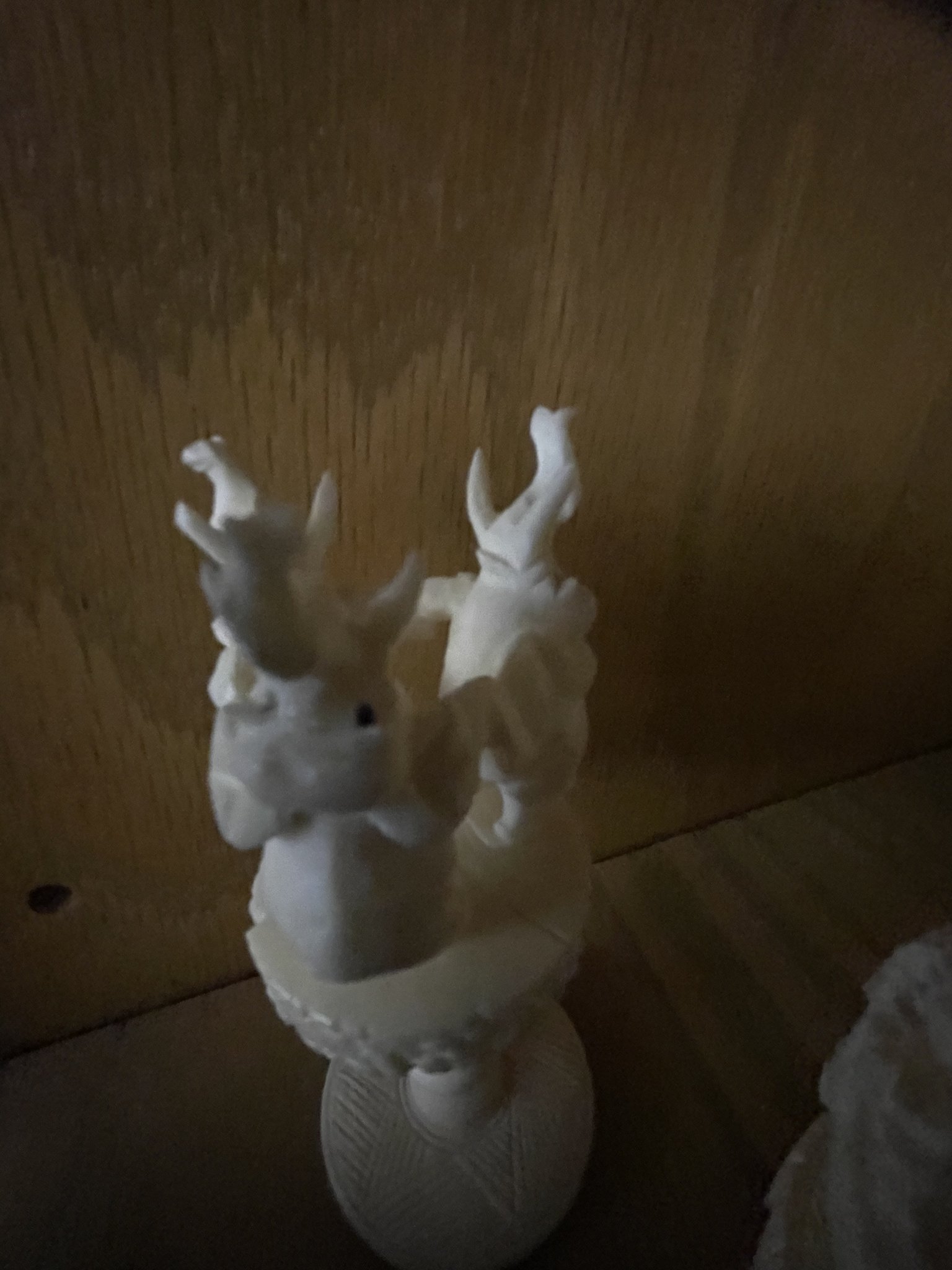2CA74218-277B-4A0D-A450-9F0C9EDDC086.jpeg