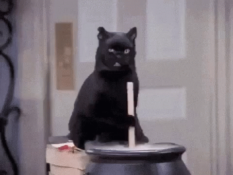 2D2AC60D-AD28-4227-AA78-B812360518E4.gif